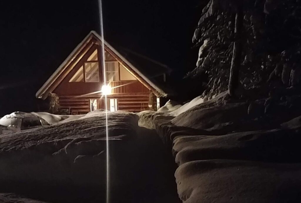 Handcrafted log home